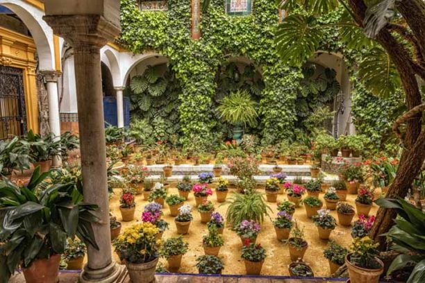 Patio en Calle Agua, Sevilla, Spain